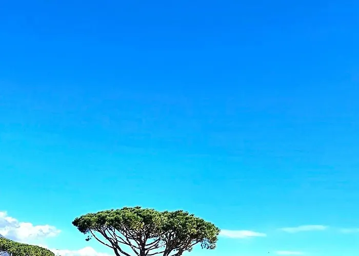 Design&charme A - Eleganza Tra Mare E Centro * Forte dei Marmi