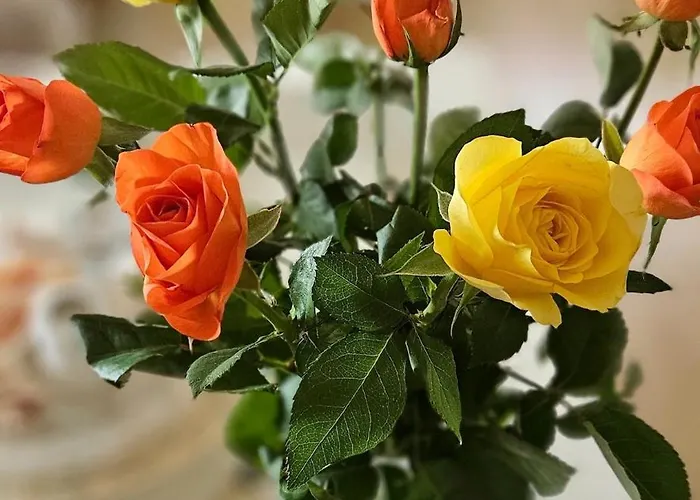 Design&charme A - Eleganza Tra Mare E Centro Ferienhaus Forte dei Marmi